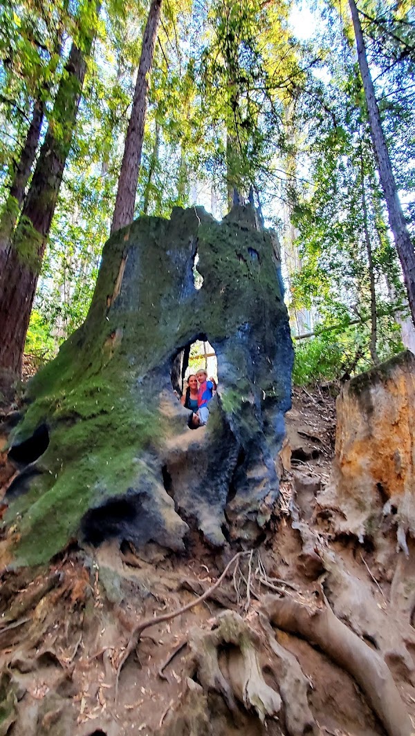 Wunderlich County Park 3