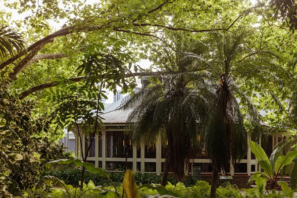 Restaurant Botanic 4