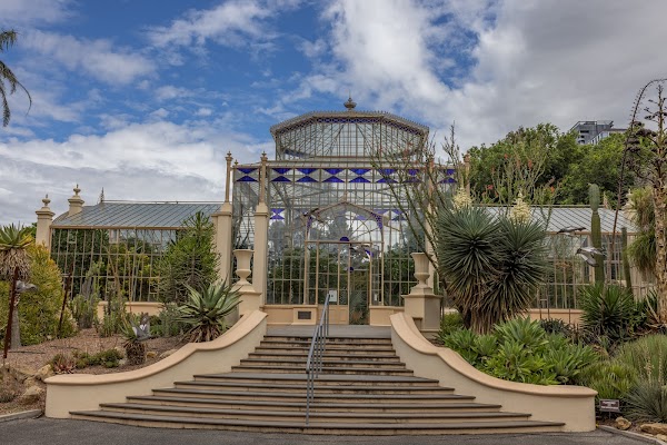 Adelaide Botanic Garden 4