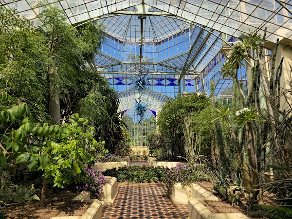 Adelaide Botanic Garden 2