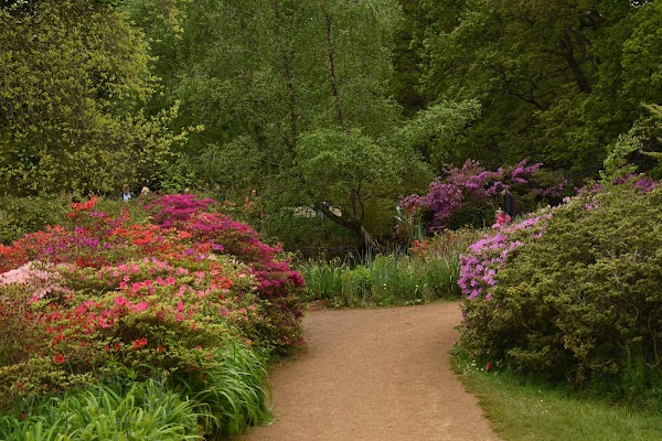Isabella Plantation 5