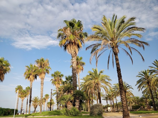 Costa Daurada's Coastal Charm: A Sun-Kissed Escape in Salou and Cambrils