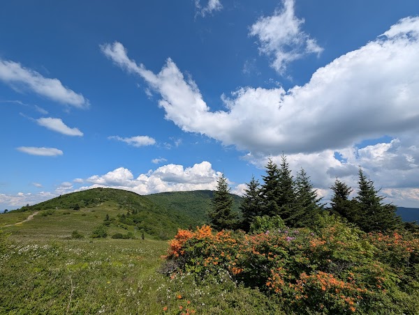 Appalachian National Scenic Trail