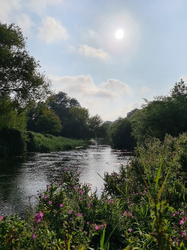 River Stour 1
