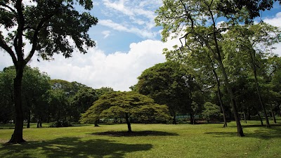Jardín Botánico de Medellín
