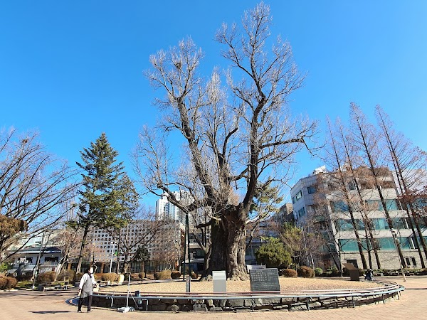 Cheongju Jungang Park 2
