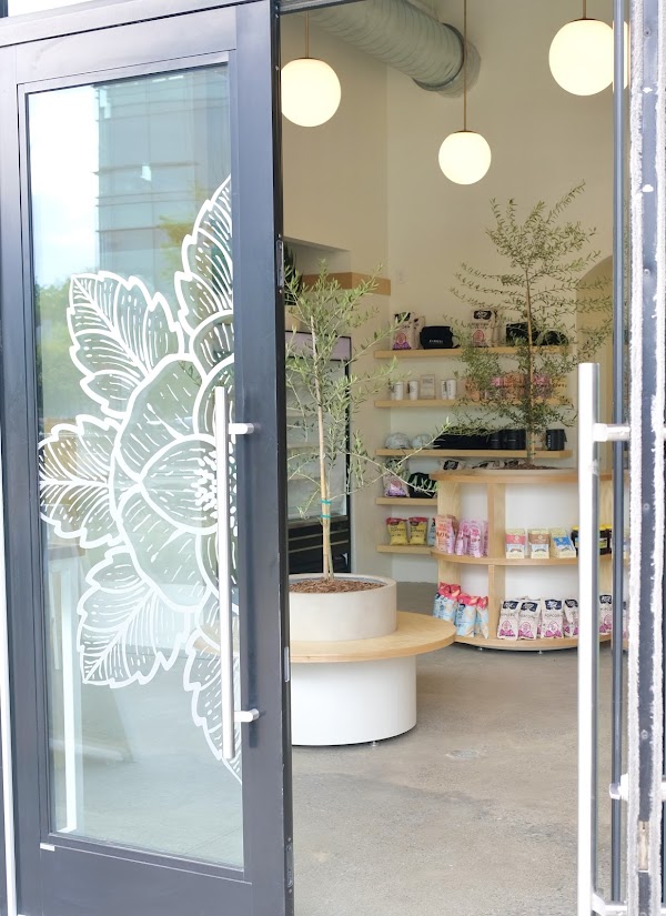 E+ROSE Wellness Cafe - West Nashville at OneC1TY 2