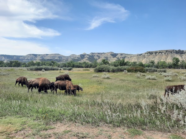 Theodore Roosevelt National Park 1