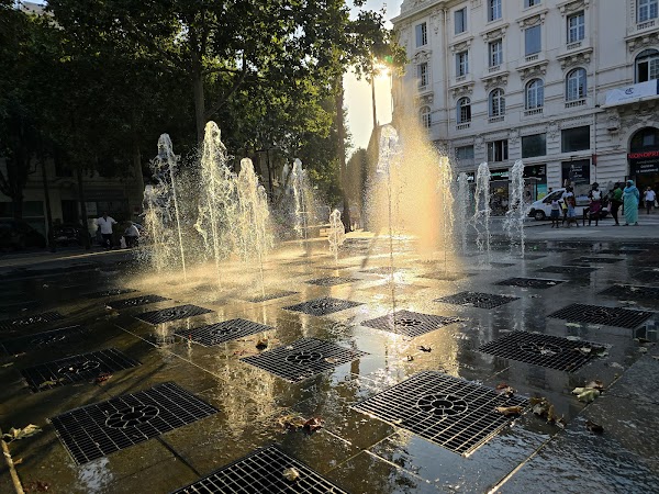 What To Do Riviera 4