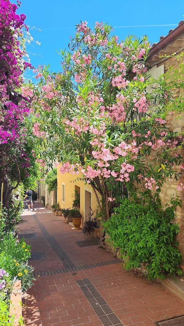 What To Do Riviera 2