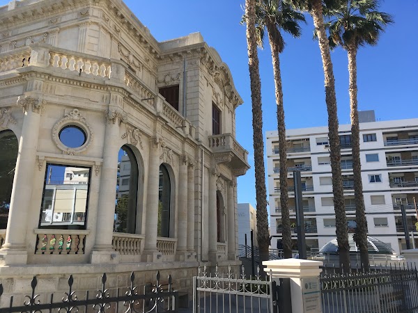 Limassol Municipal University Library 4