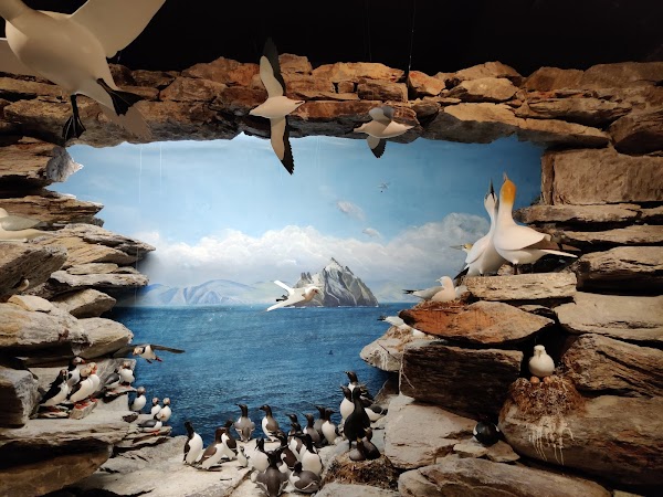 The Skellig Experience Visitor Centre 2