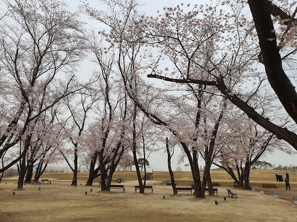 Archaeological Site in Wanggung-ri, Iksan 4