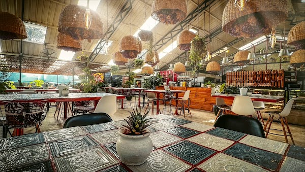 Cultiva Farm Kenya 1