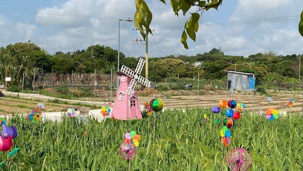 Shun Sum Yuen Farm
