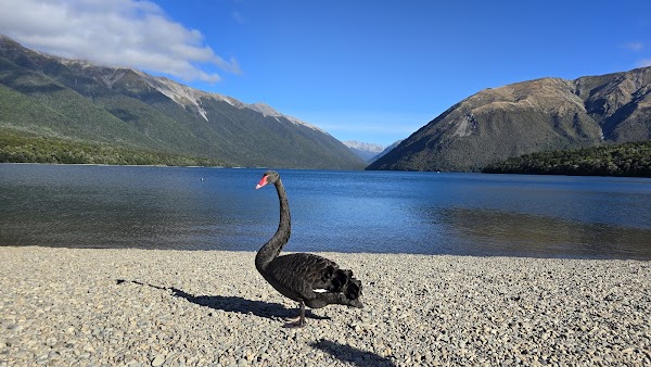 Lake Rotoiti Jetty- St Arnaud 3