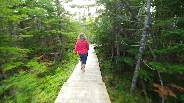 Torrent River Interpretation Center 3