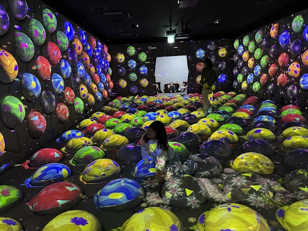 Magic Flow Wonder Park 1