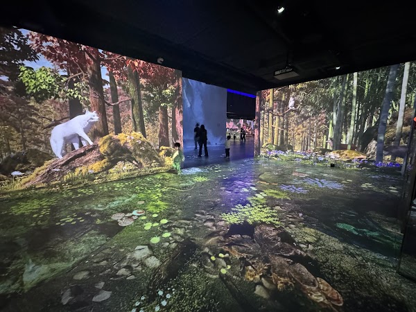 Magic Flow Wonder Park 3