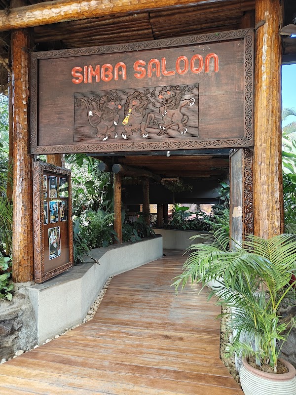 Simba Saloon 3