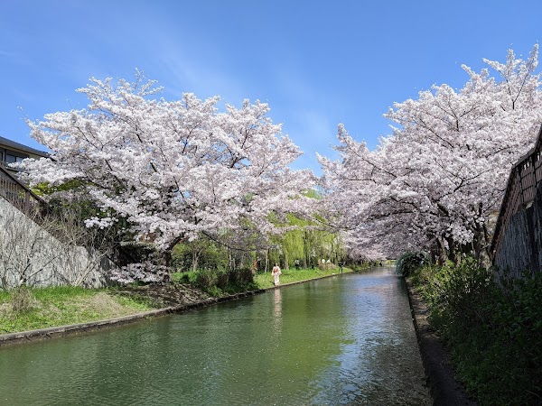 Fushimi Jikkoku-bune Boats 1