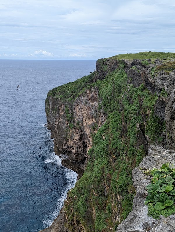 Laku Fa'anga Cliffs