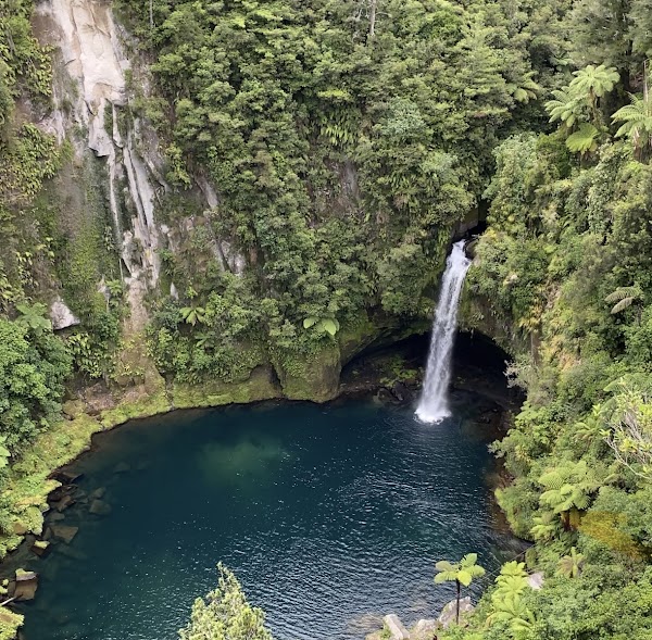 Omanawa Falls Track Car Park