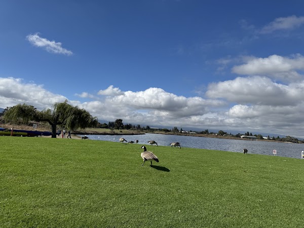 Shoreline Lake American Bistro 3