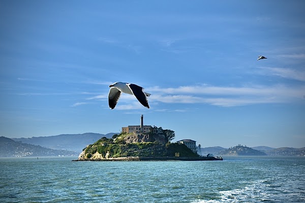 Alcatraz Island 4