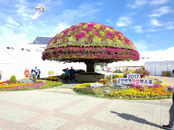 Geumsan Ginseng General Exhibition
