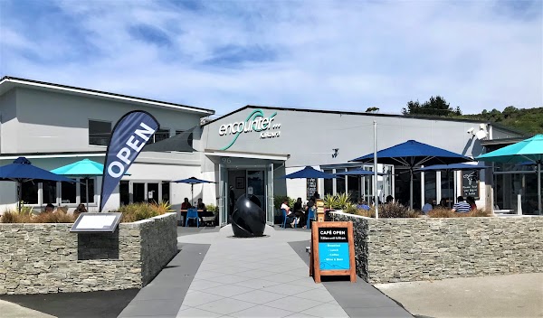 Encounter Kaikoura (Dolphin Encounter)