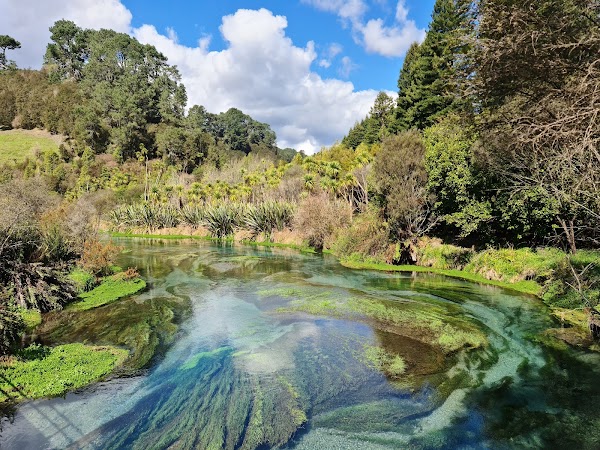 Blue Spring (Te Waihou Walkway). Leslie Road entrance is closed.