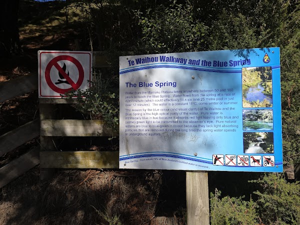 Blue Spring (Te Waihou Walkway). Leslie Road entrance is closed. 2