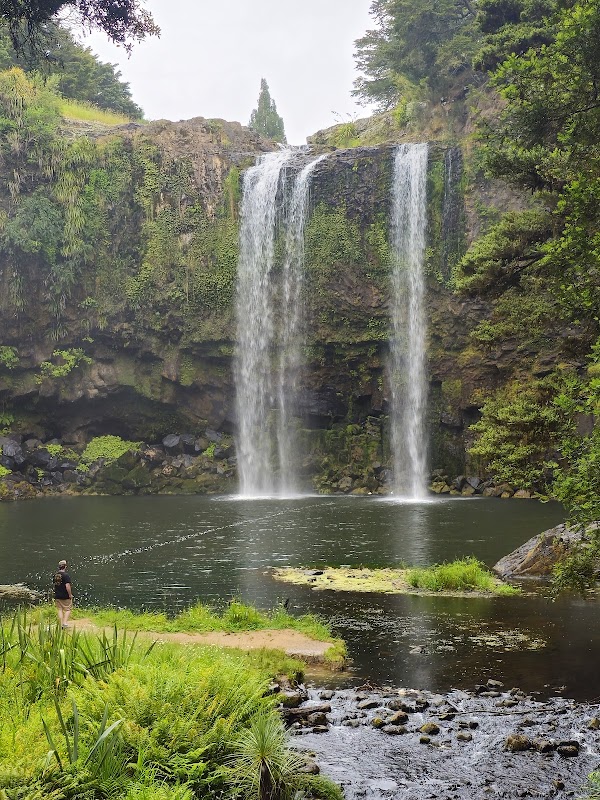 Whangarei Falls