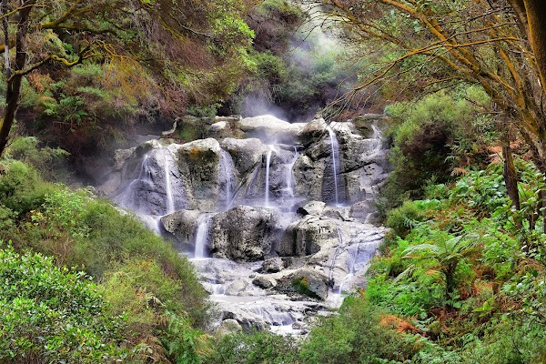 Hell's Gate Geothermal Reserve and Mud Spa 3