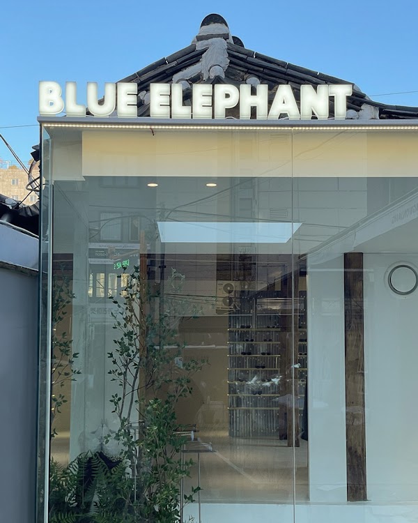 블루엘리펀트 익선 쇼룸 BLUE ELEPHANT IKSEON