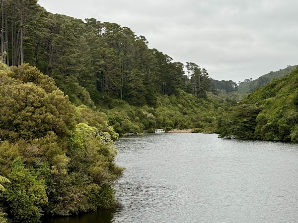Zealandia Te Māra a Tāne 4