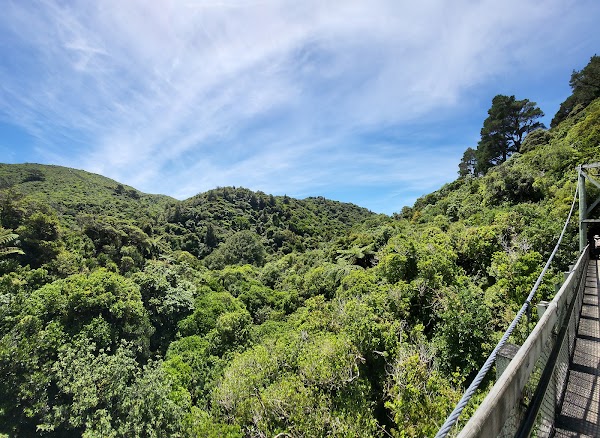 Zealandia Te Māra a Tāne 3