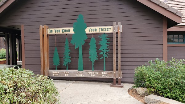 Calaveras Big Trees State Park 2