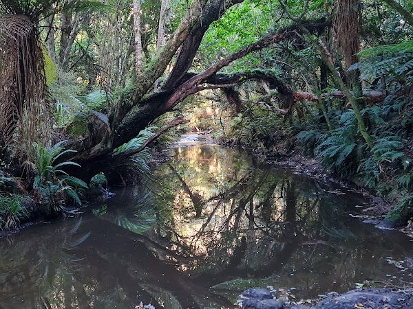Purakaunui Falls 3