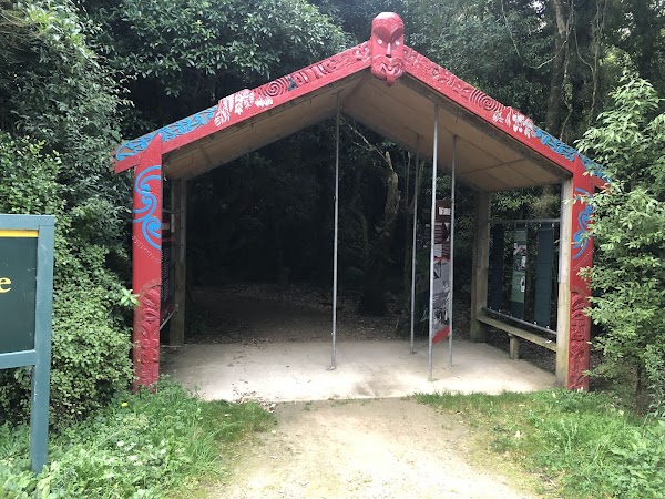 Manawatu Gorge Scenic Reserve