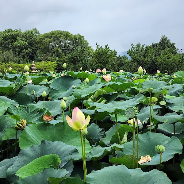Semiwon Garden