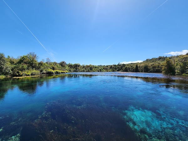 Te Waikoropupu Springs 5