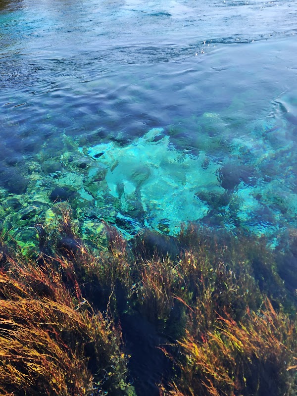 Te Waikoropupu Springs 3