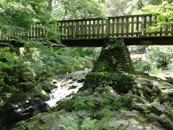 Tollymore Forest Park 5