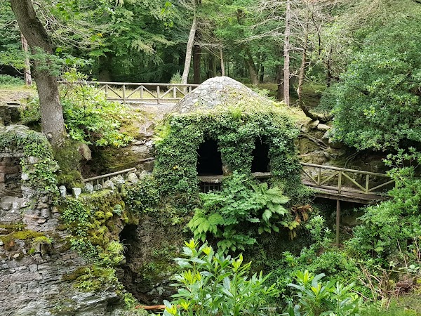 Tollymore Forest Park 4