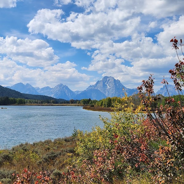 Oxbow Bend 2