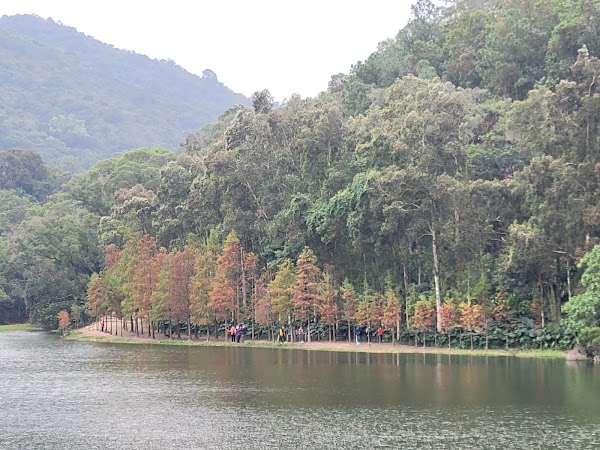 Lau Shui Heung Reservoir 5