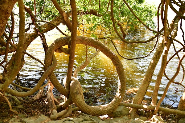 Lau Shui Heung Reservoir 2
