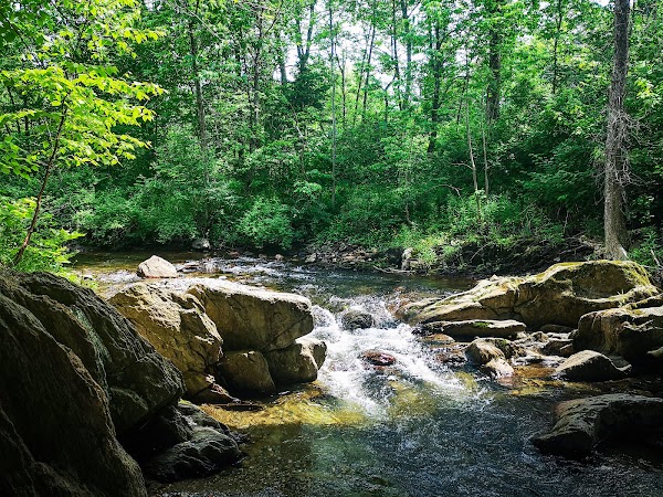 Historic Gold Brook Covered Bridge 4